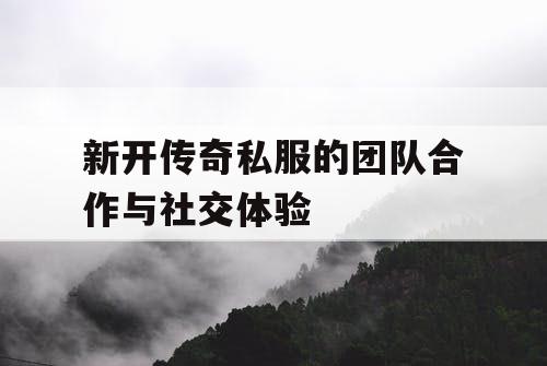 新开传奇私服的团队合作与社交体验 新开传奇私服的团队合作与社交体验