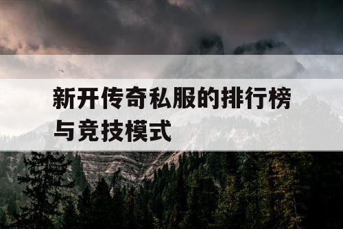 新开传奇私服的排行榜与竞技模式