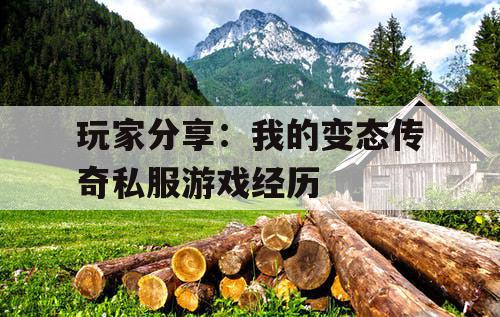 玩家分享：我的变态传奇私服游戏经历