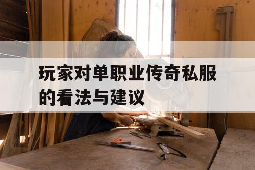 玩家对单职业传奇私服的看法与建议