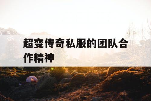 超变传奇私服的团队合作精神