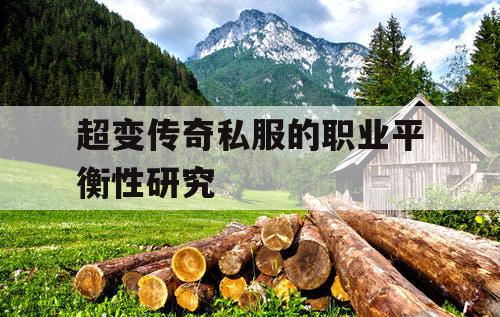 超变传奇私服的职业平衡性研究 超变传奇私服的职业平衡性研究