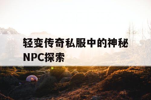 轻变传奇私服中的神秘NPC探索