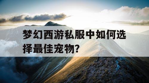 梦幻西游私服中如何选择最佳宠物？