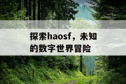 探索haosf，未知的数字世界冒险