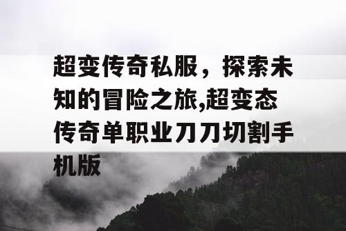 超变传奇私服，探索未知的冒险之旅,超变态传奇单职业刀刀切割手机版