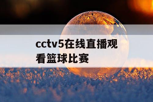 cctv5在线直播观看篮球比赛