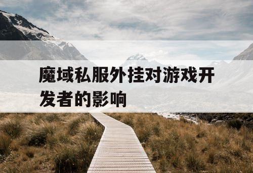魔域私服外挂对游戏开发者的影响