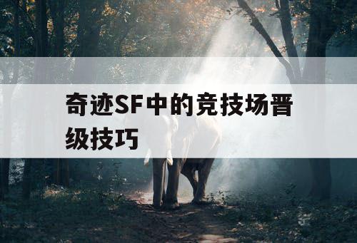 奇迹SF中的竞技场晋级技巧