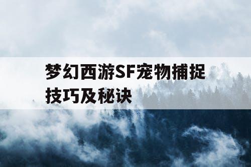 梦幻西游SF宠物捕捉技巧及秘诀