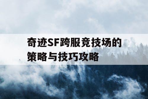 奇迹SF跨服竞技场的策略与技巧攻略