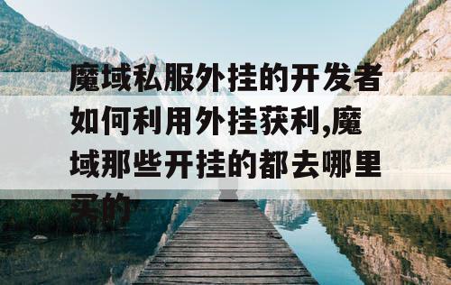 魔域私服外挂的开发者如何利用外挂获利,魔域那些开挂的都去哪里买的