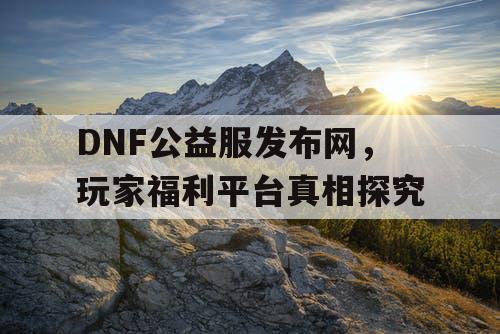 DNF公益服发布网，玩家福利平台真相探究