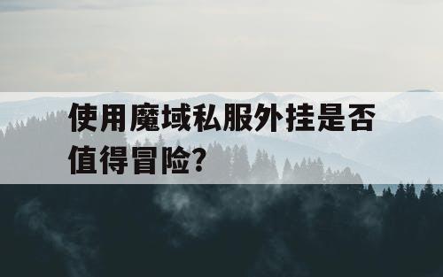 使用魔域私服外挂是否值得冒险？