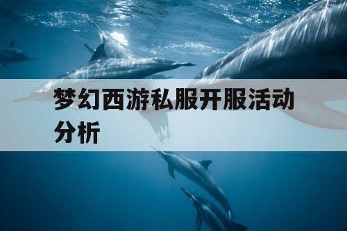 梦幻西游私服开服活动分析