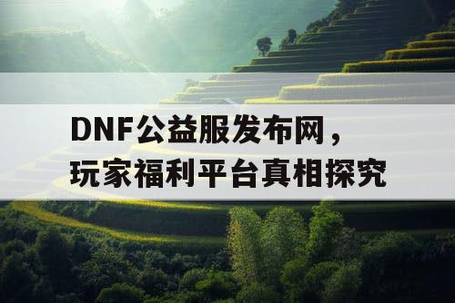DNF公益服发布网，玩家福利平台真相探究