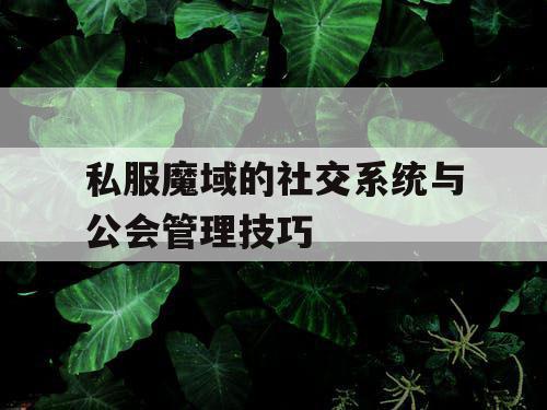 私服魔域的社交系统与公会管理技巧