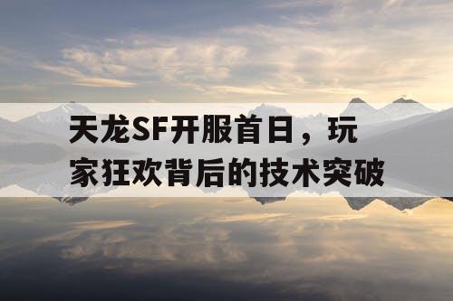 天龙SF开服首日，玩家狂欢背后的技术突破
