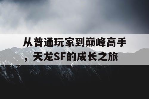 从普通玩家到巅峰高手，天龙SF的成长之旅