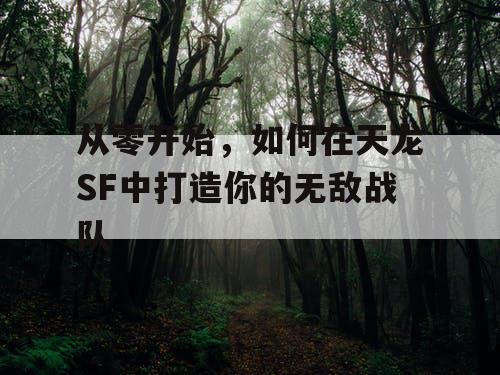 从零开始,如何在天龙SF中打造你的无敌战队 从零开始,如何在天龙SF中打造你的无敌战队