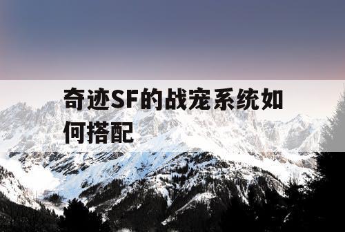 奇迹SF的战宠系统如何搭配