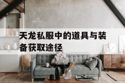 天龙私服中的道具与装备获取途径