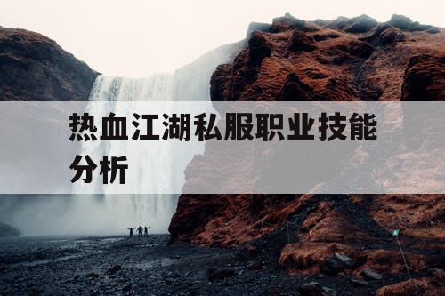 热血江湖私服职业技能分析