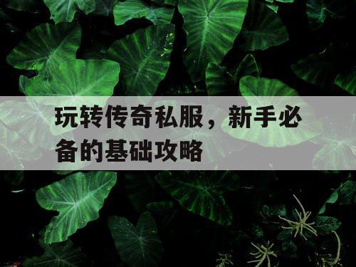 玩转传奇私服，新手必备的基础攻略