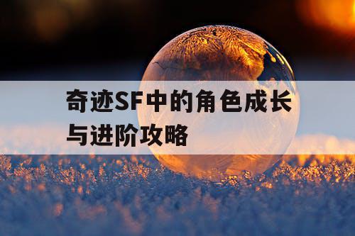 奇迹SF中的角色成长与进阶攻略