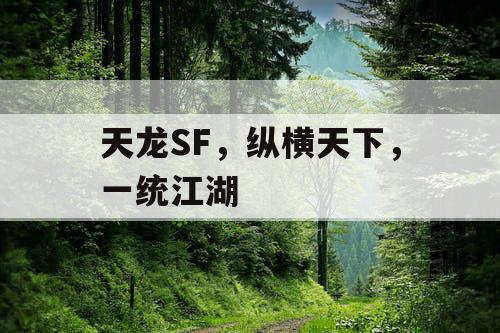天龙SF，纵横天下，一统江湖
