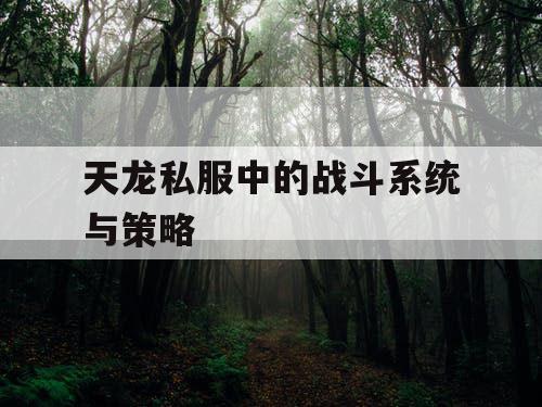 天龙私服中的战斗系统与策略