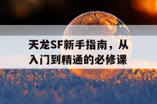 天龙SF新手指南，从入门到精通的必修课