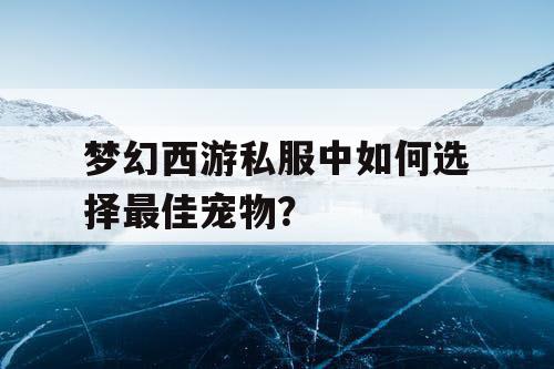 梦幻西游私服中如何选择最佳宠物？
