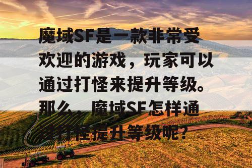 魔域SF是一款非常受欢迎的游戏，玩家可以通过打怪来提升等级。那么，魔域SF怎样通过打怪提升等级呢？