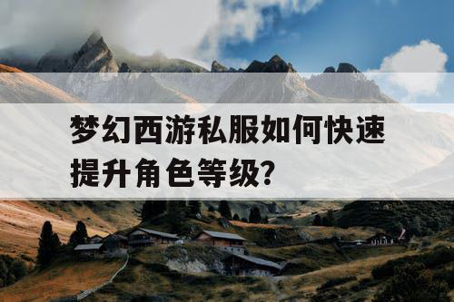 梦幻西游私服如何快速提升角色等级？