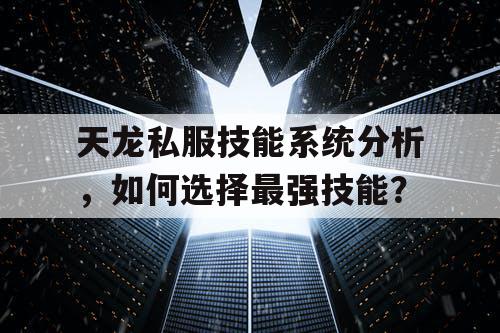 天龙私服技能系统分析，如何选择最强技能？
