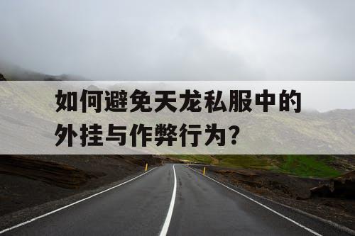 如何避免天龙私服中的外挂与作弊行为？