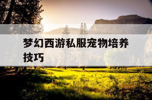 梦幻西游私服宠物培养技巧