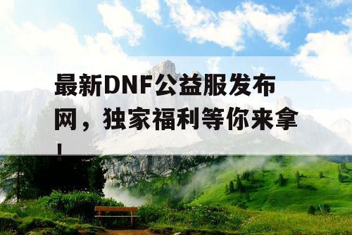 最新DNF公益服发布网，独家福利等你来拿！