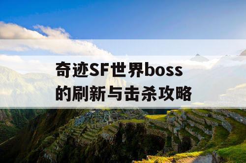 奇迹SF世界boss的刷新与击杀攻略 奇迹SF世界boss的刷新与击杀攻略