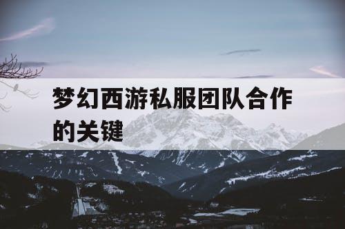 梦幻西游私服团队合作的关键 梦幻西游私服团队合作的关键