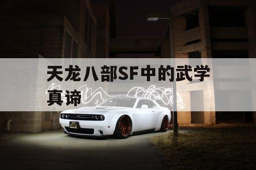 天龙八部SF中的武学真谛