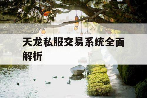 天龙私服交易系统全面解析