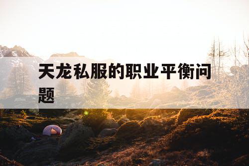 天龙私服的职业平衡问题