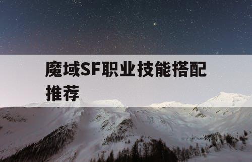 魔域SF职业技能搭配推荐