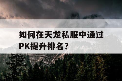 如何在天龙私服中通过PK提升排名？