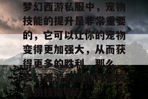 梦幻西游私服中，宠物技能的提升是非常重要的，它可以让你的宠物变得更加强大，从而获得更多的胜利。那么，梦幻西游私服如何提高宠物技能呢？