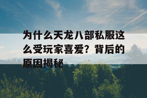 为什么天龙八部私服这么受玩家喜爱？背后的原因揭秘