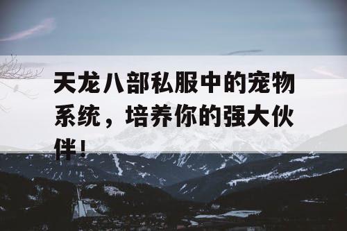 天龙八部私服中的宠物系统，培养你的强大伙伴！