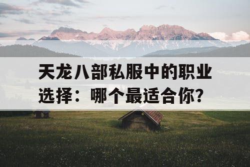 天龙八部私服中的职业选择：哪个最适合你？